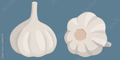 Garlic in cartoon style. Healthy Food.