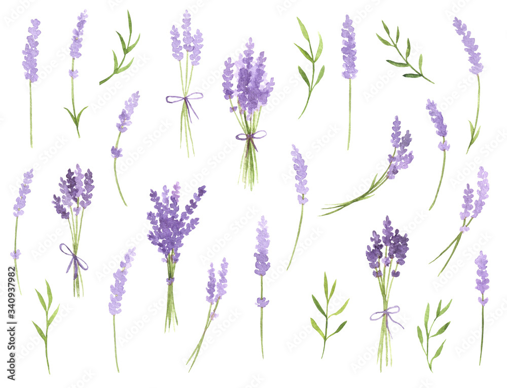 Watercolor Lavender Sprigs Set - obrazy, fototapety, plakaty 