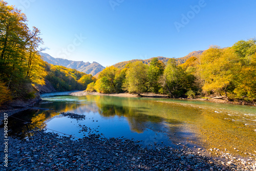 Fall landscape with mountain river and forest