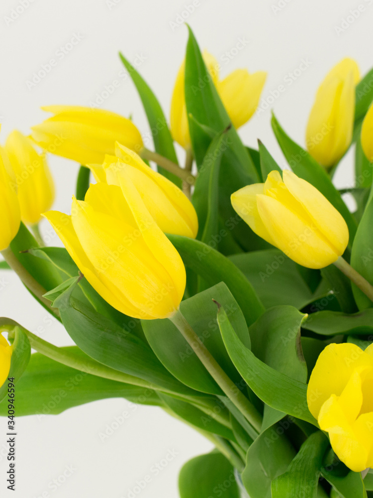 Obraz premium Yellow tulips in a vase 