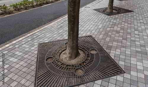 Foto Round metal tree grate around the trunk on the city sidewalk.
