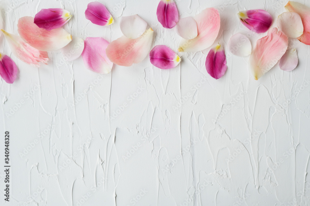 Scattered flower petals Scattered flower petals