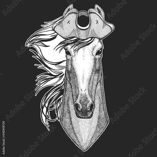 Horse, steed, courser. Pirate cocked hat. Portrait of wild animal.