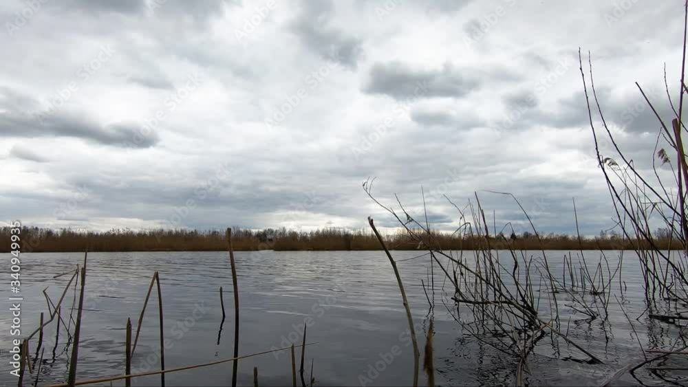 Beautiful calm forest lake. Video for the background.