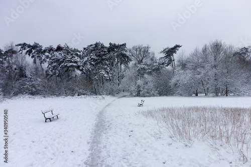 Winter and snow at Bois de Vincennes © John Paul Cornilson