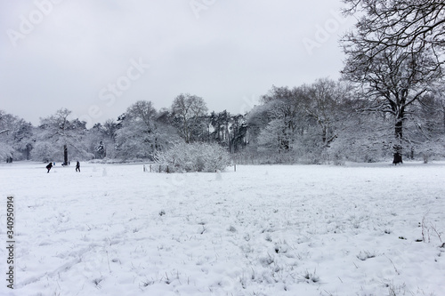 Snow at Bois de Vincennes