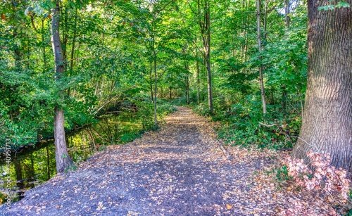 Bois de Vincennes
