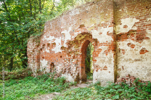 Fototapeta Naklejka Na Ścianę i Meble -  ruins of medieval abandoned church in a forest