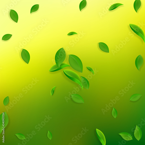 Wallpaper Mural Falling green leaves. Fresh tea chaotic leaves fly Torontodigital.ca
