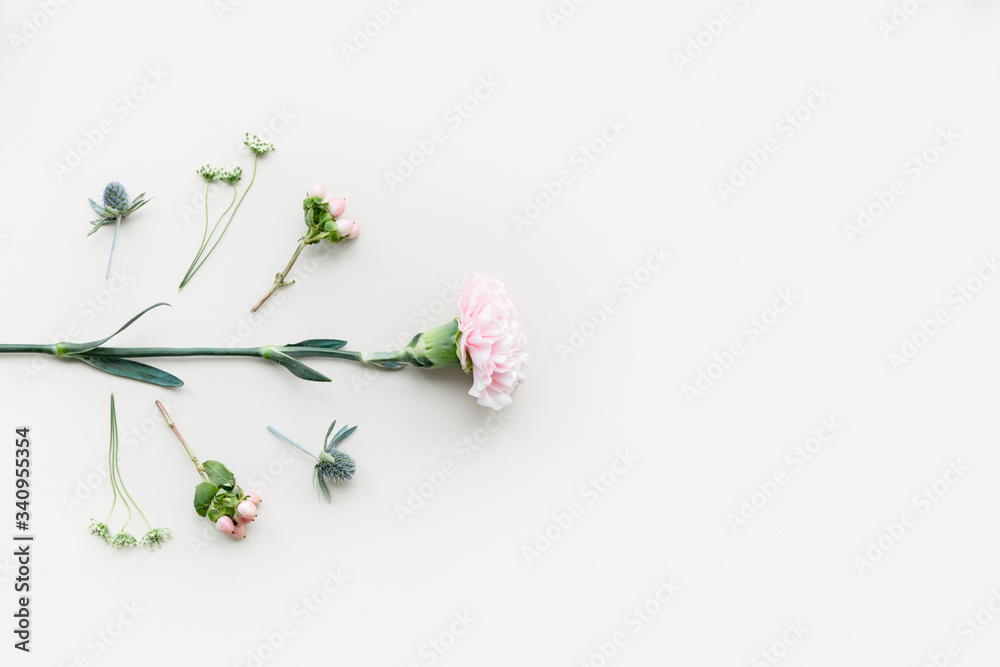 Flowers arranged in a white background Flowers arranged in a white background