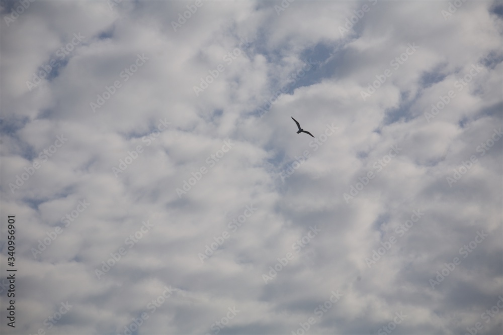 The texture of the clouds