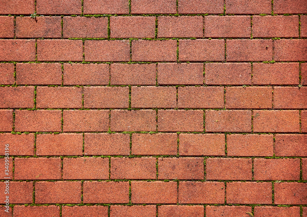 custom made wallpaper toronto digitalbrick wall background