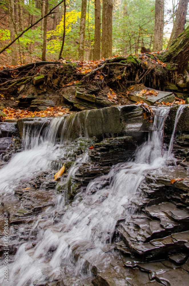 Obraz premium waterfall in the woods