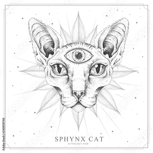 Modern magic witchcraft card with  sphynx cat and all-seeing eye. Realistic hand drawing sphynx cat head