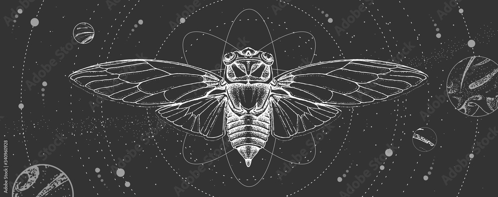 Modern magic witchcraft card with solar system and cicada. Hand drawing occult vector illustration Modern magic witchcraft card with solar system and cicada. Hand drawing occult vector illustration