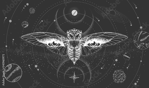 Modern magic witchcraft card with solar system,  cicada and all-seeing eye. Hand drawing occult vector illustration