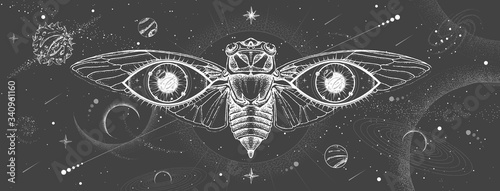 Modern magic witchcraft card with solar system,  cicada and all-seeing eye. Hand drawing occult vector illustration