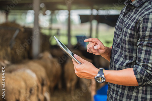Photo Portrait of cheerful veterinarian smiling looking at camera while using digital tablet standing in sheephed