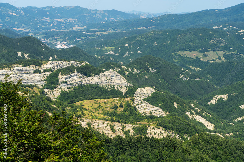 Obraz premium Summer landscape near La Verna, Tuscany