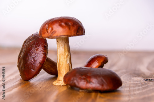 Three Fresh boletus mushrooms on wooden table