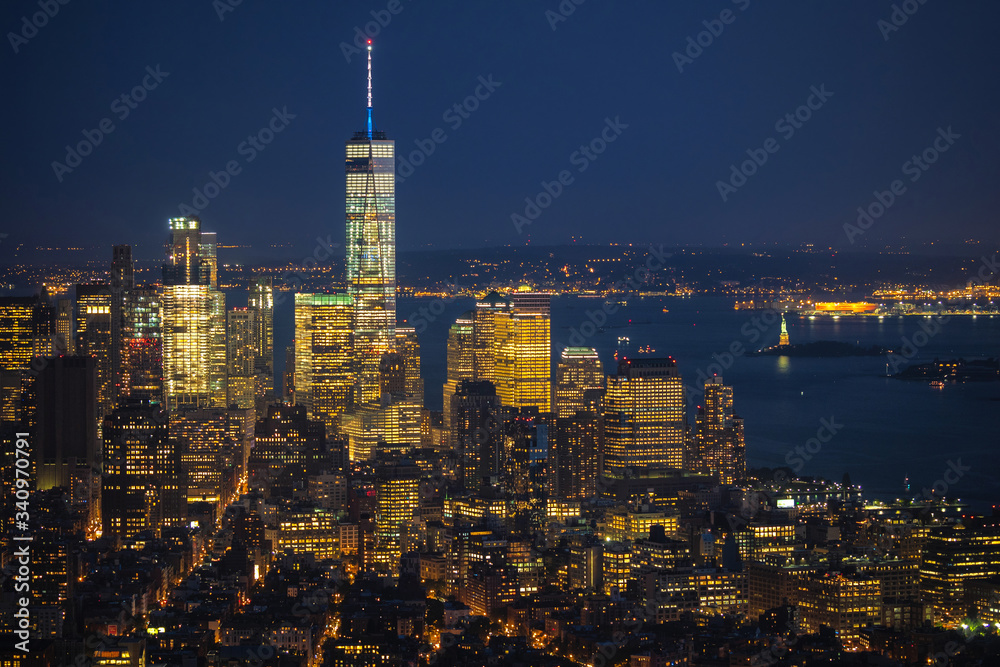 Obraz premium New York City skyline showing Lower Manhattan and Statue of Liberty at night, United States of America. 