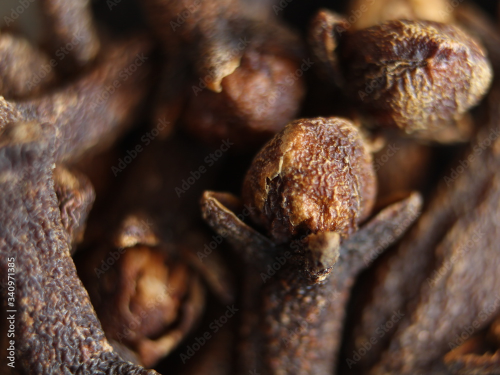 Clove spices aromas flavors natural plant food kitchen Clove spices aromas flavors natural plant food kitchen