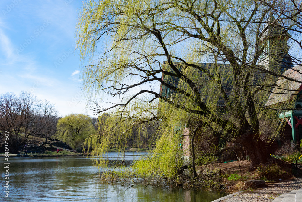The Harlem Meer at Central Park in New York City during Spring The Harlem Meer at Central Park in New York City during Spring
