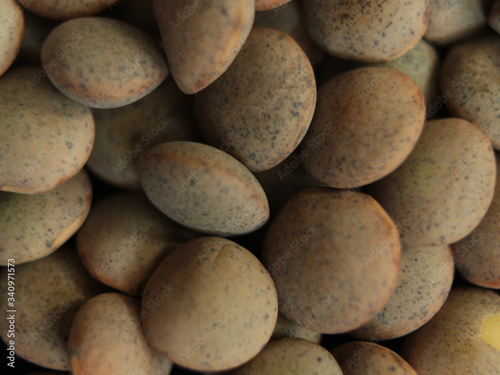 Food Food Legume lentil stew Delicious round tasty Food Food Legume lentil stew Delicious round tasty