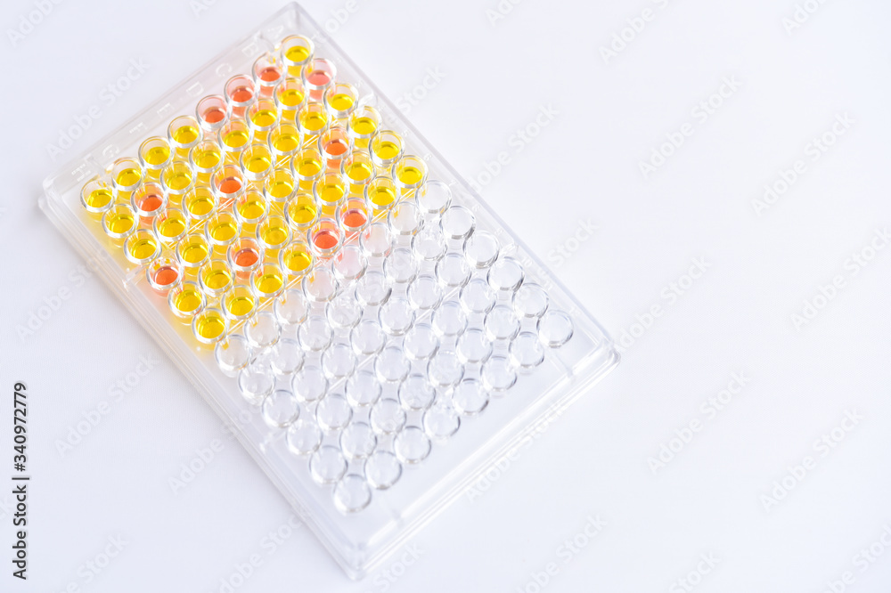 Enzyme-linked immunosorbent assay or ELISA plate, Immunology testing method in medical laboratory Enzyme-linked immunosorbent assay or ELISA plate, Immunology testing method in medical laboratory