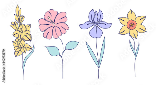 Set of flowers