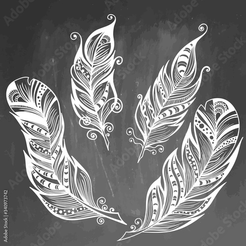 Feather hand drawn vector illustration. Sketch collection. Engraved style set of doodle plumes on chalkboard background