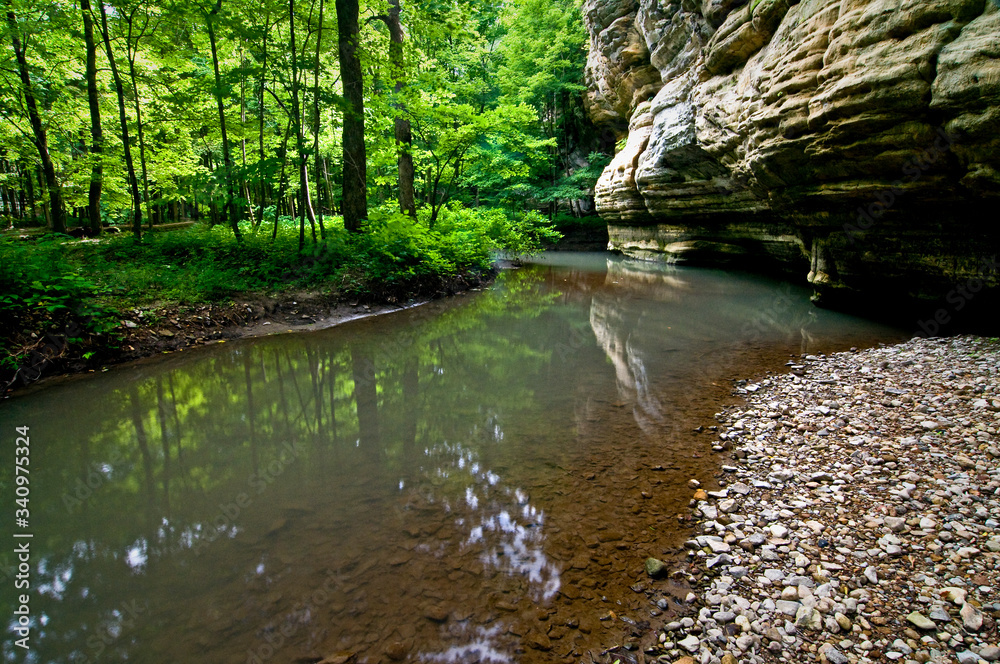 A small stream flows quietly beneath the wall of a sandstone canyon in a spring green landscape. A small stream flows quietly beneath the wall of a sandstone canyon in a spring green landscape.