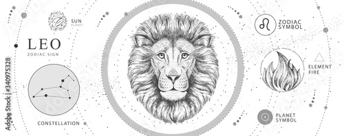 Modern magic witchcraft card with astrology Leo zodiac sign. Realistic hand drawing lion head. Zodiac characteristic photo
