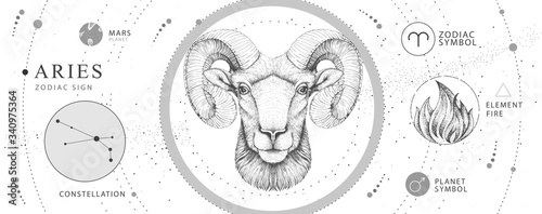 Modern magic witchcraft card with astrology Aries zodiac sign. Realistic hand drawing ram or mouflon head. Zodiac characteristic photo
