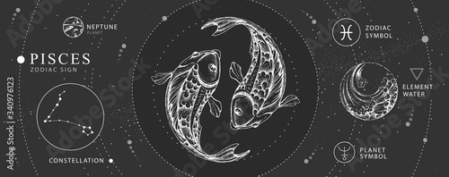 Modern magic witchcraft card with astrology Pisces zodiac sign. Realistic hand drawing koi fish illustration. Zodiac characteristic