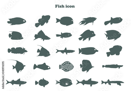 Set of fish icons in vector