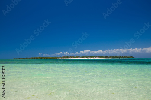 Zanzibar, landscape sea, coral reef