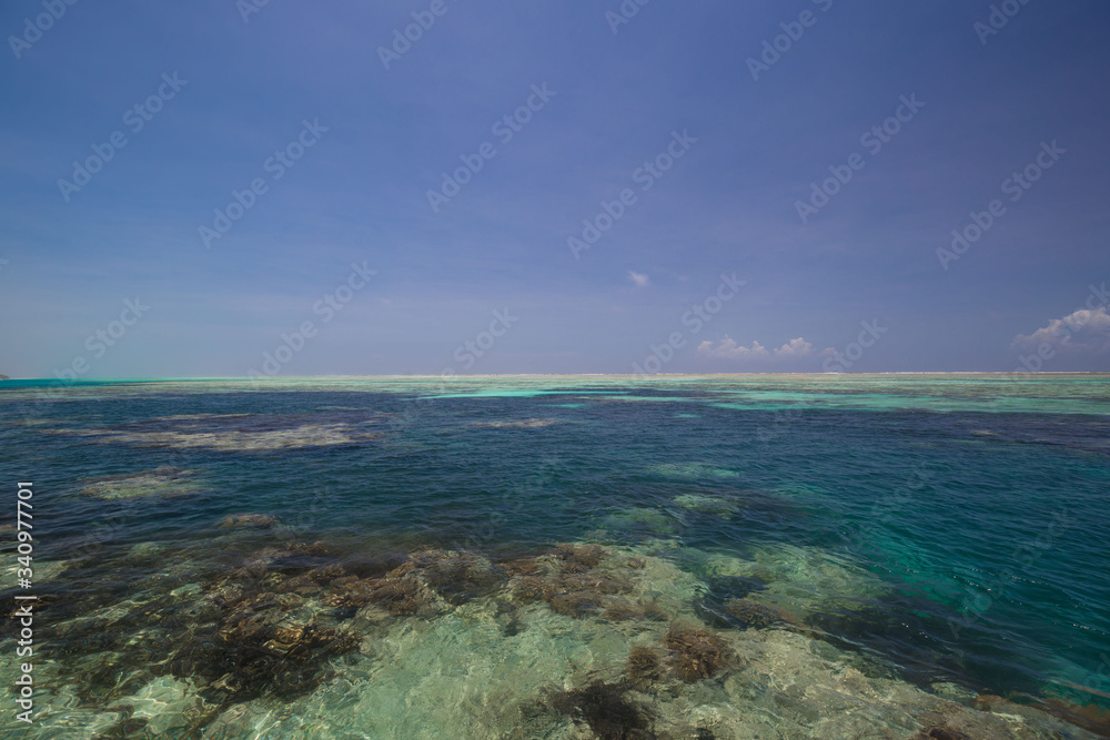 Zanzibar, landscape sea, coral reef