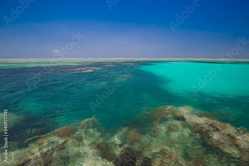 Zanzibar  landscape sea  coral reef