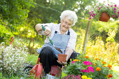 Quadro em tela senior woman enjoying gardening