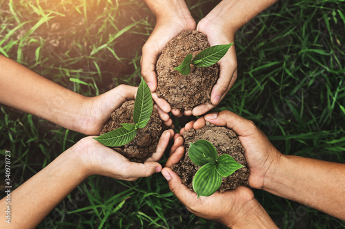 three hand holding young tree for planting. nurture Environmental concept