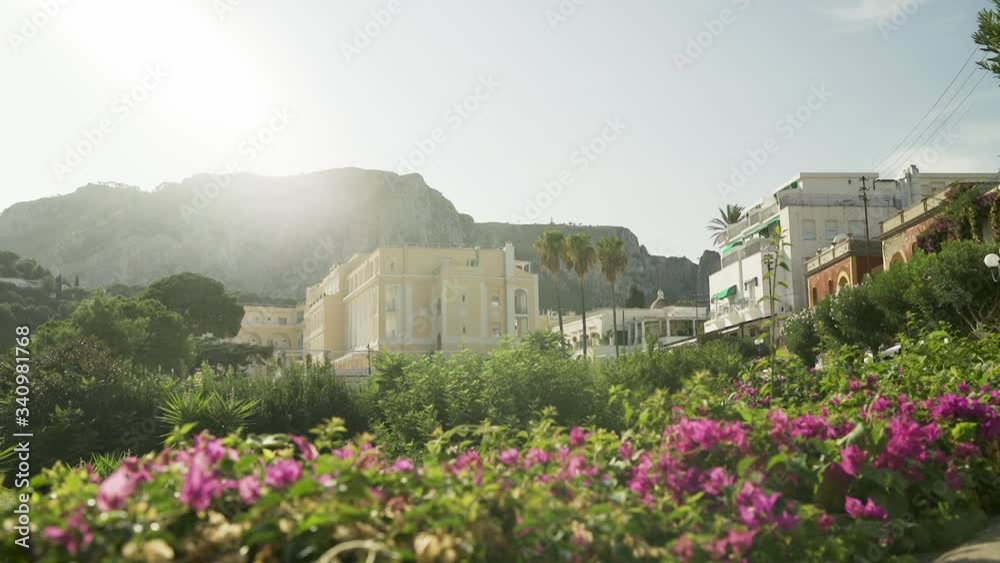 Capri panoramic view at sunset with Bougainville in the foreground Capri panoramic view at sunset with Bougainville in the foreground