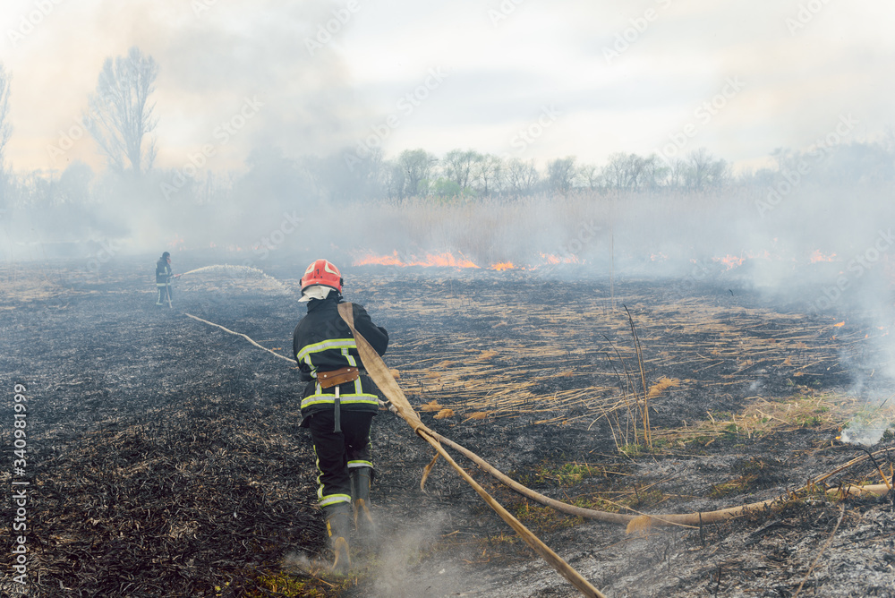 Obraz premium Firefighter battle with the wildfire. Firefighters are training. Firemen are using foam or water in fire fighting operation.