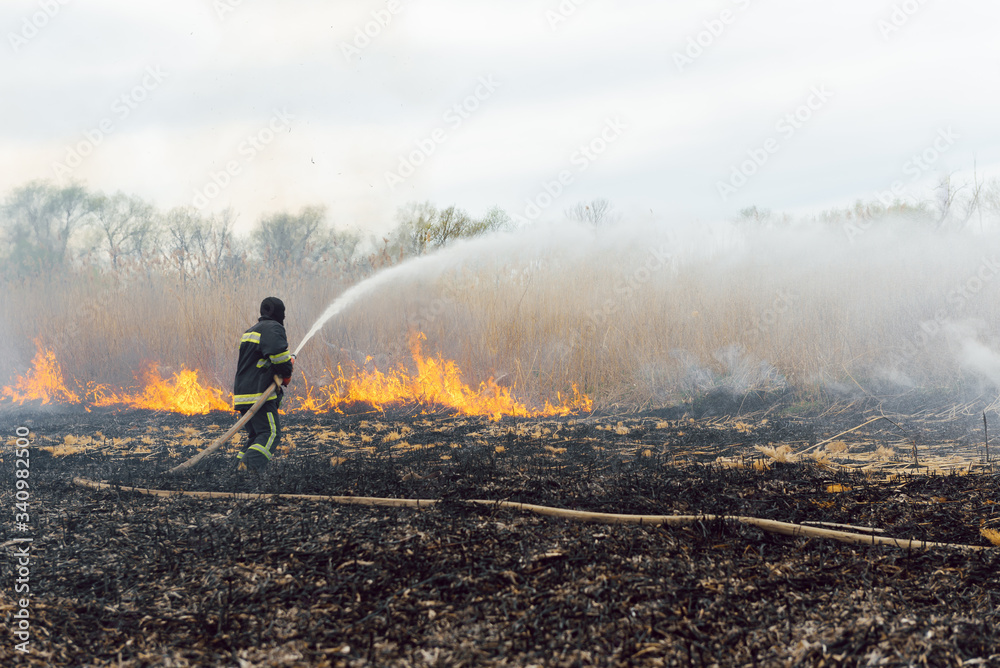 Obraz premium firefighters helped battle a wildfire