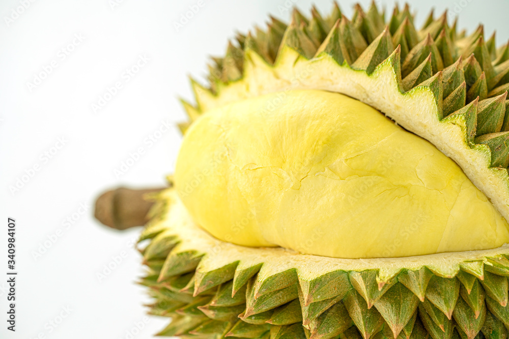 King of fruits, Yellow durian in side Mon Thong durian fruit from white ...