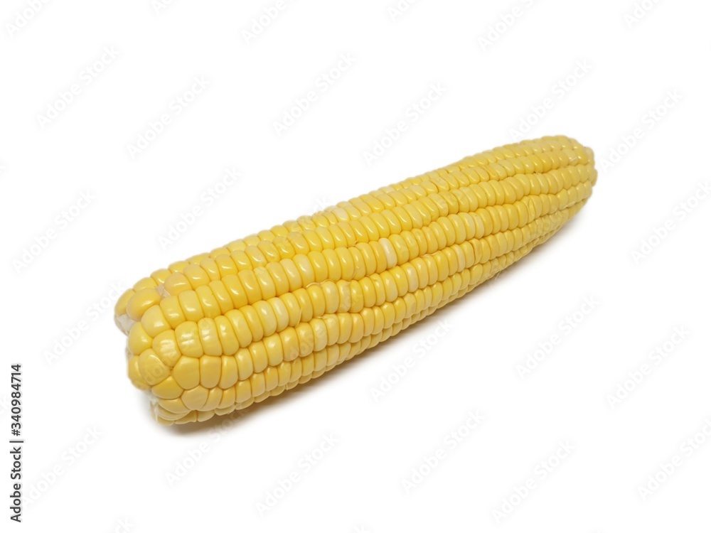 Raw sweet corn with white background