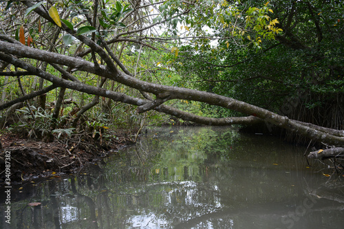 Hikkaduwa, Sri Lanka - March 11, 2019: Ratgama Lake photo