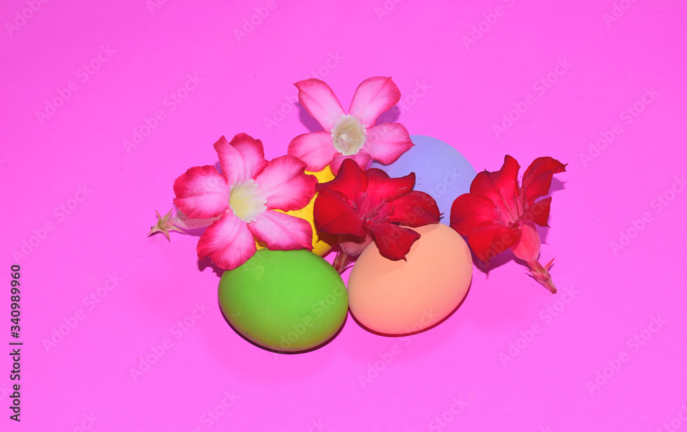 Beautiful easter eggs and pink flowers on a pink background

