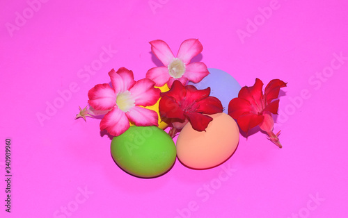 Beautiful easter eggs and pink flowers on a pink background