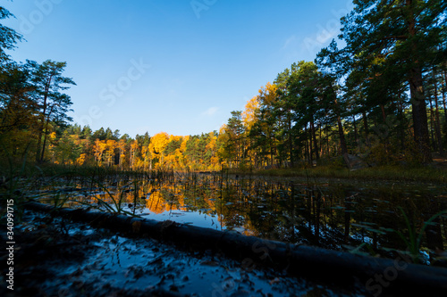 Explosion of autumn colors in the forests of Sweden. Reflections of all colors in the lake water.